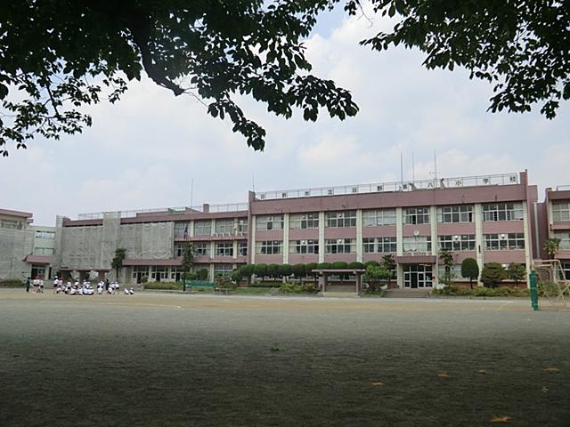 Primary school. 470m to Hino eighth elementary school