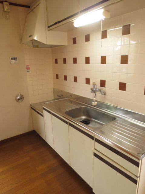 Living and room. Two-burner stove is put spread of sink space