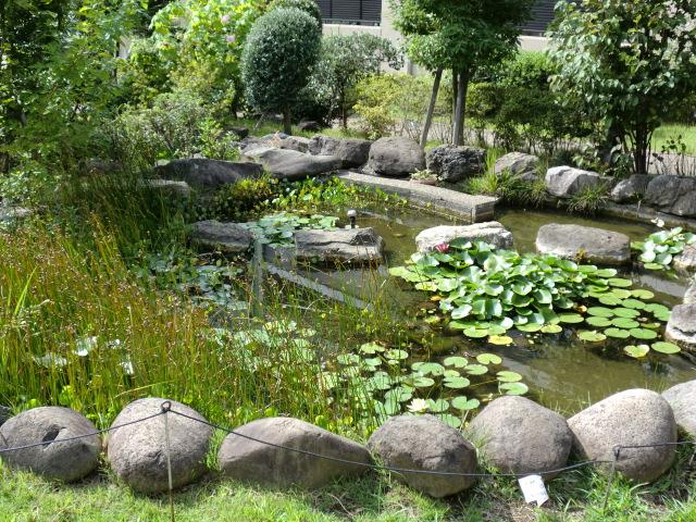 Other common areas. courtyard