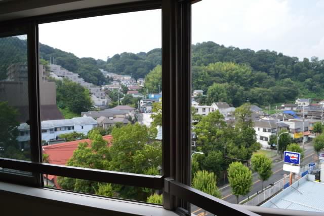 View photos from the dwelling unit. The south side of the view is a picture