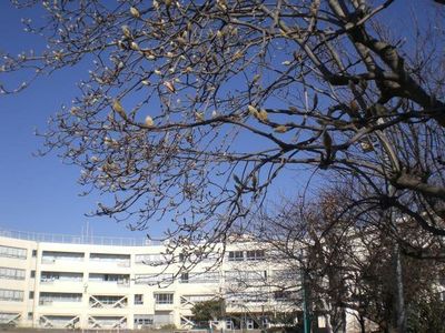 Primary school. 1443m to Hino Municipal Asahigaoka elementary school (elementary school)
