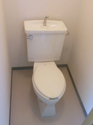 Toilet. Toilet with cleanliness