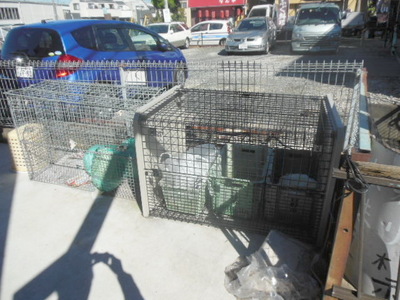 Other common areas. On-site trash storage