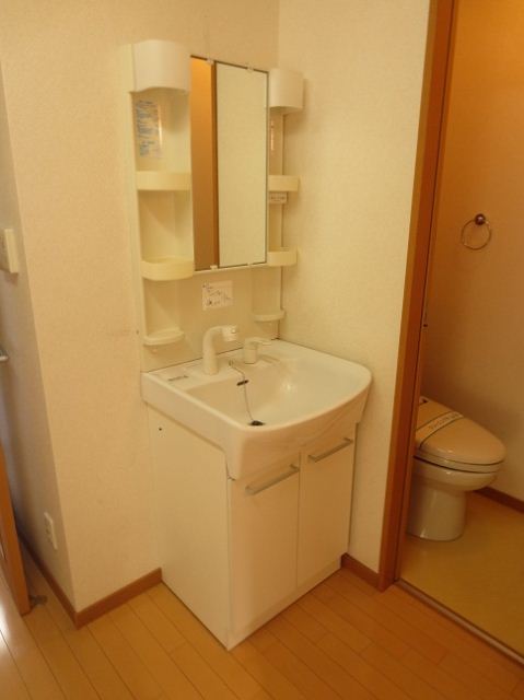 Washroom. Convenient independent vanity