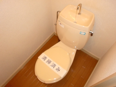 Other. Toilet