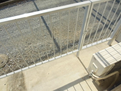 Garden. It has sun hits