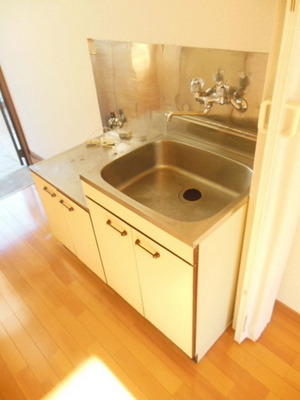 Kitchen. Two-burner gas stove installation Allowed Kitchen