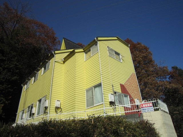 Building appearance. The appearance of the siding board upholstered lemon yellow