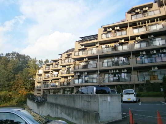 Local appearance photo. Mansion appearance