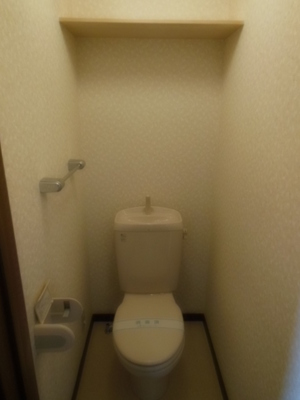 Toilet. Clean toilets