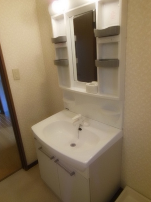 Washroom. Wash basin