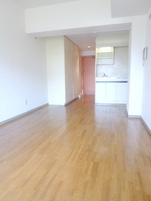 Other room space. Western style room