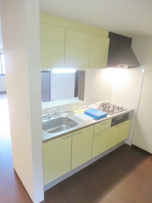 Kitchen. Counter-type system Kitchen