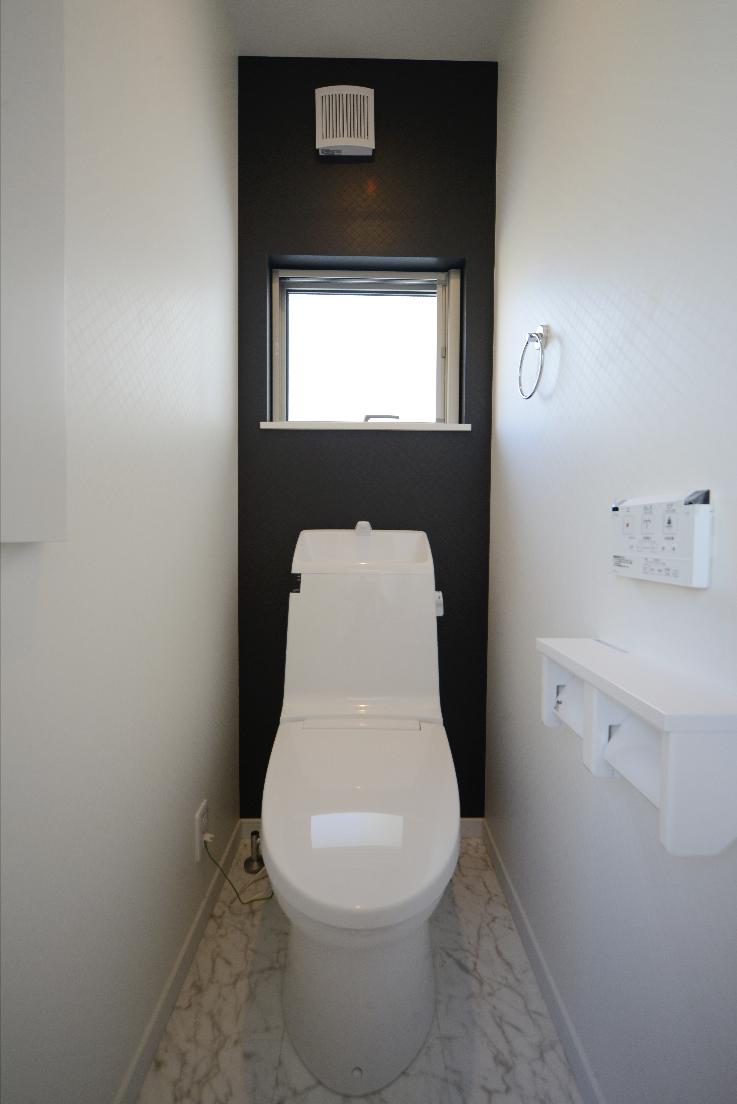 Toilet. Indoor (11 May 2013) Shooting