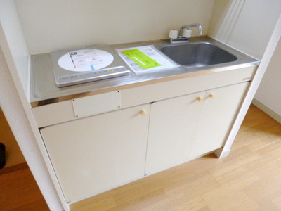 Kitchen. Peace of mind of the IH stove