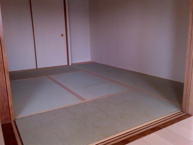 Non-living room. Indoor (11 May 2013) Shooting