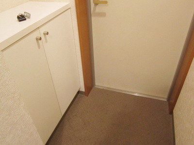 Other.  ☆ Shoe box ☆ 