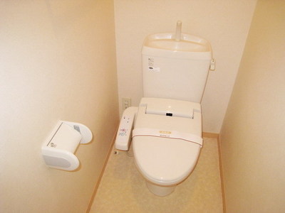 Toilet. Happy warm water cleaning toilet