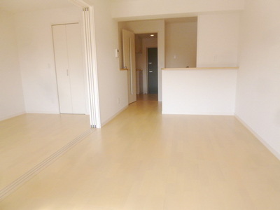 Other room space. Beautiful living room