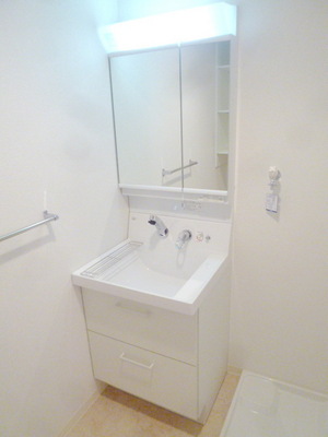 Washroom. Shampoo dresser