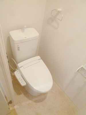 Toilet. Clean toilet