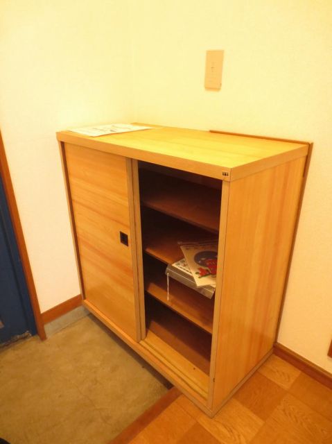 Entrance. Convenient shoe box equipped