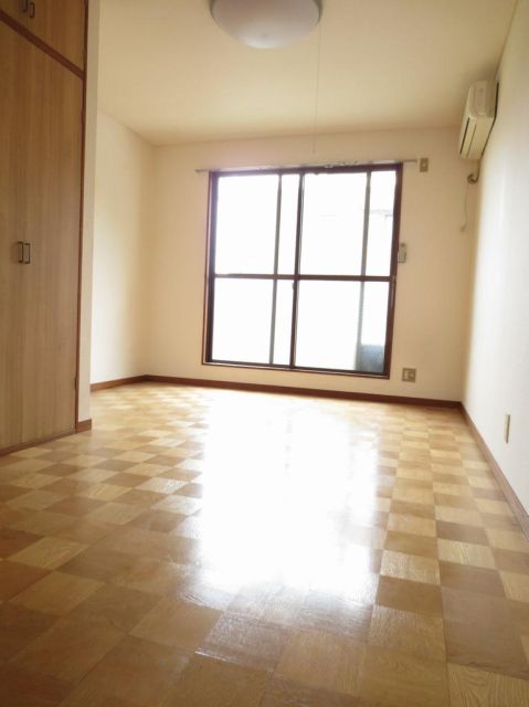 Living and room. South-facing sunny rooms