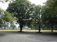 park. Asahigaoka 225m to Central Park (park)