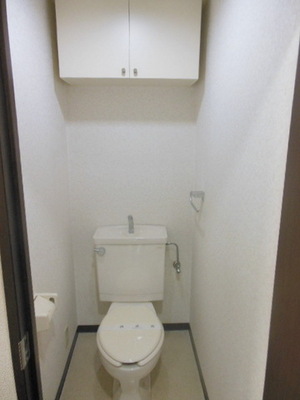Toilet. It is a toilet with a shelf
