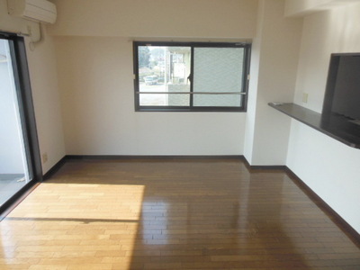 Living and room. Bright living room of the two-sided lighting