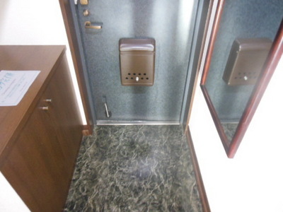 Entrance. There is a mirror to the front door, It is convenient