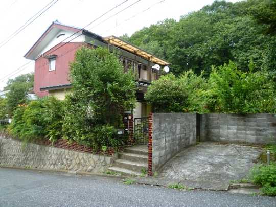 Local land photo. Appearance (1)