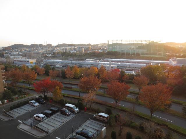 View photos from the dwelling unit. View from the site (November 2013) Shooting