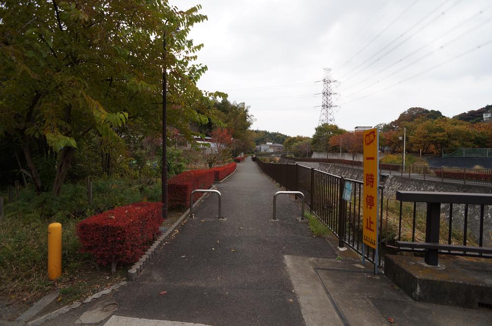 Local land photo. Local (11 May 2013) Shooting