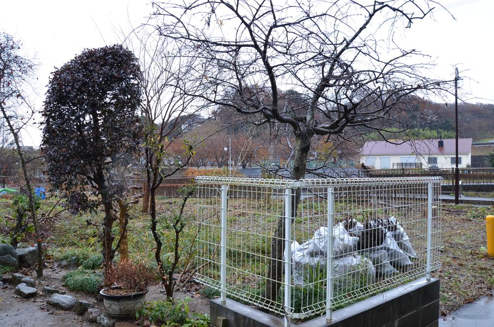 Local land photo. Local (12 May 2013) Shooting