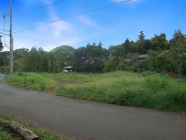 Local photos, including front road