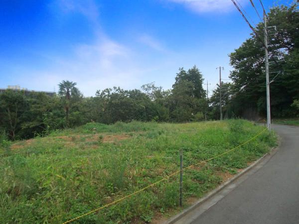 Local photos, including front road