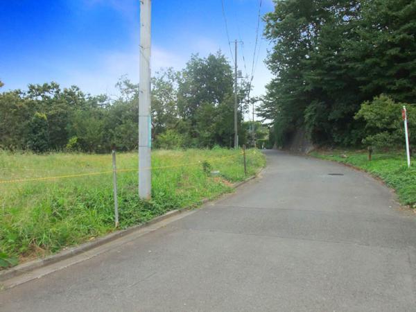 Local photos, including front road