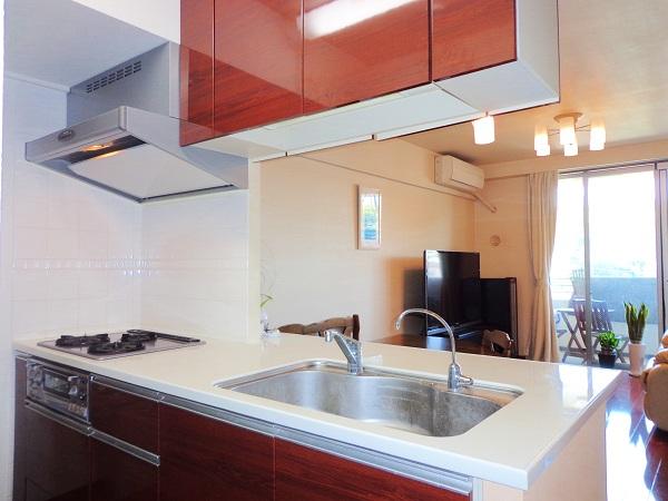 Kitchen. Bright kitchen space line-of-sight to the views of the outside.