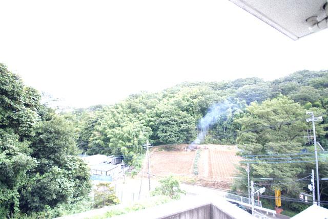 View photos from the dwelling unit