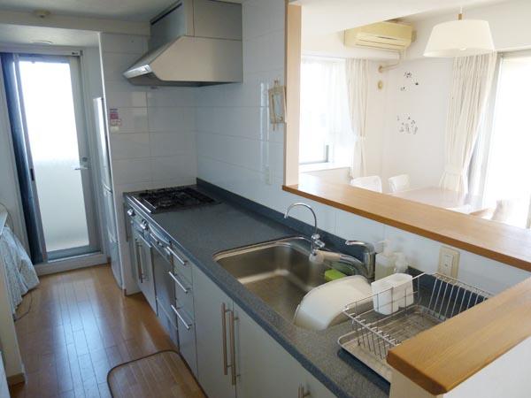 Kitchen. Kitchen with a back door