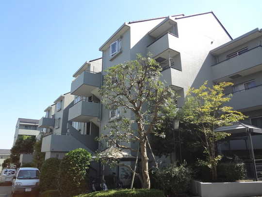 Local appearance photo