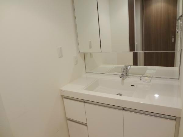 Wash basin, toilet. Bathroom vanity