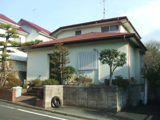 Local land photo. Appearance (2)