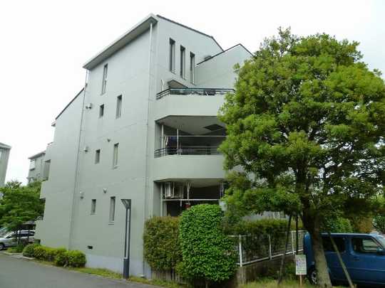 Local appearance photo. appearance