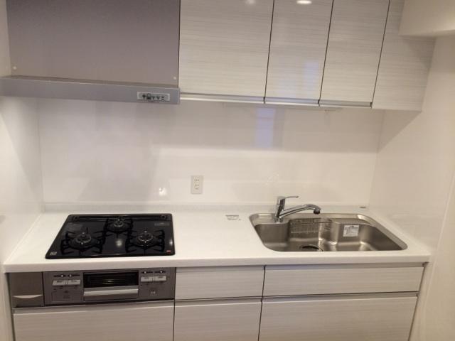 Kitchen. Indoor (12 May 2013) Shooting