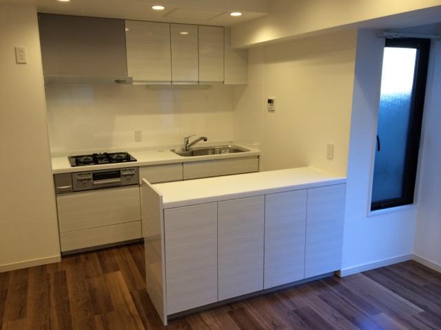 Kitchen. Indoor (12 May 2013) Shooting