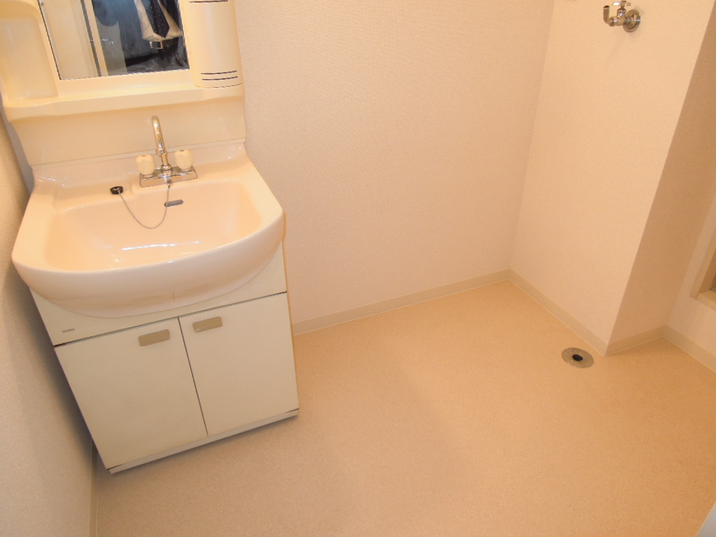 Other room space. Dressing room