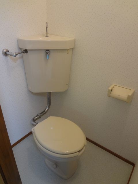 Toilet. Toilet with cleanliness!