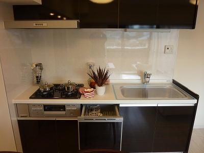 Kitchen. Indoor (12 May 2013) Shooting